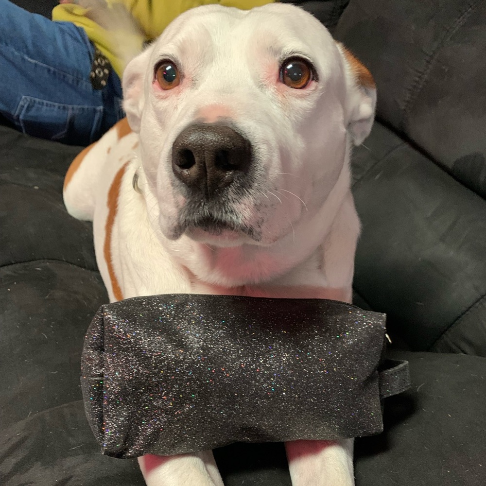 Kick ass opi make up bag !!!!!!!